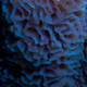 Illustration for article titled Beautiful photos of alien worlds hiding right here on Earth